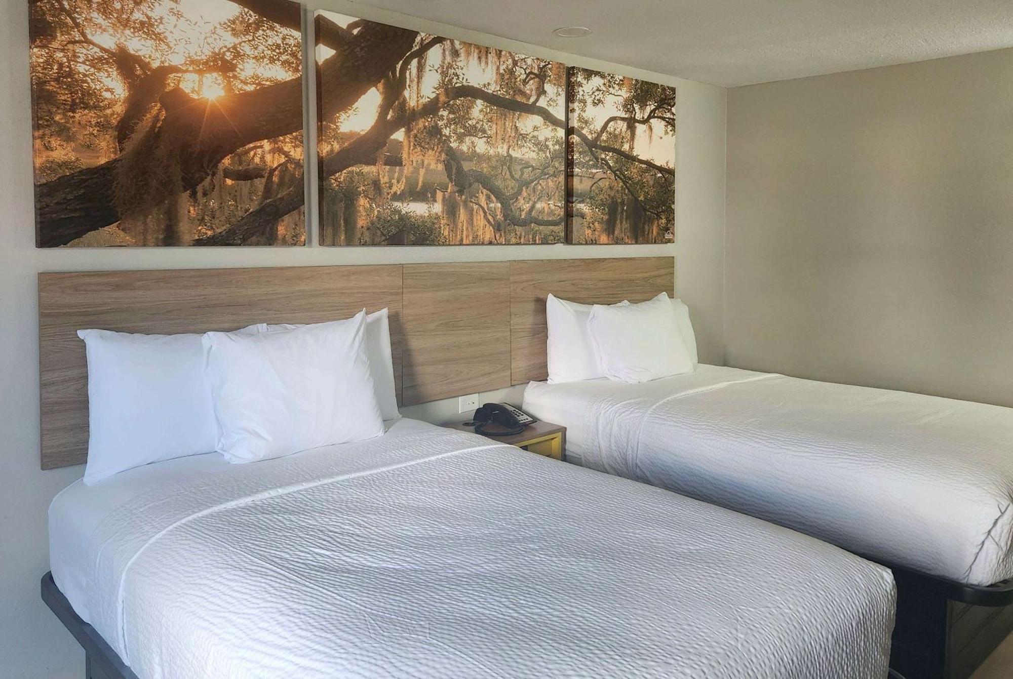 Days Inn By Wyndham Lafayette Scott Extérieur photo